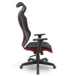 VIZON DZ - Imagem 5
