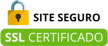 site-seguro.png